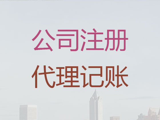 湖州代记账公司|代理集团公司记账/做账,纳税申报